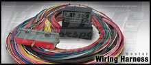 AEM Universal Engine Management System Harness - 24