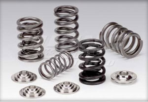 King Acura on Supertech Valve Springs   B18a B18b B20 Dohc Non Vtec   Sp 77 34 5  Op