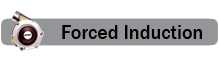 Forced Induction