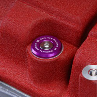 Skunk2  B-Series Vtec Low-Profile Valve Cover Hardware (Purple)