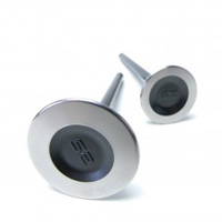 Skunk2  B-Series VTEC Pro Series Valves (stock size, standard compression)
