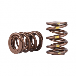Skunk2  B-Series VTEC Pro Series XP Valve Springs