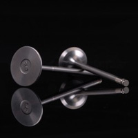 Skunk2  B-Series VTEC Ultra Series Valves (stock size, high compression)