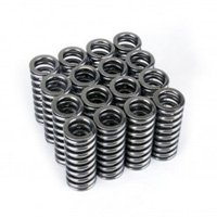 Skunk2  D-Series VTEC Alpha Valve Springs