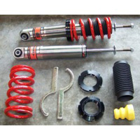 Skunk2  EP3/RSX Pro-S V1 Rear Coilover Set