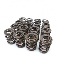 Skunk2  F, H-Series VTEC Alpha Valve Springs