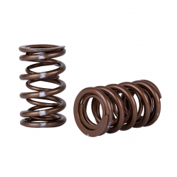 Skunk2  K-Series i-VTEC Pro Series XP Valve Springs